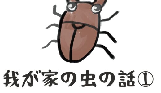 我が家の虫の話その１　カブトムシ、クワガタがやってきた→翌年の成長まで(2024/6追加)